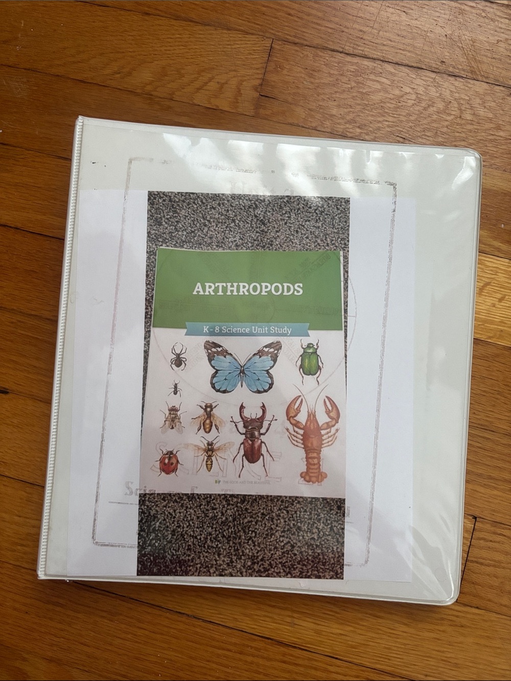 K-8 The Good and The Beautiful Arthropods Curriculum Unit Study Complete Lessons